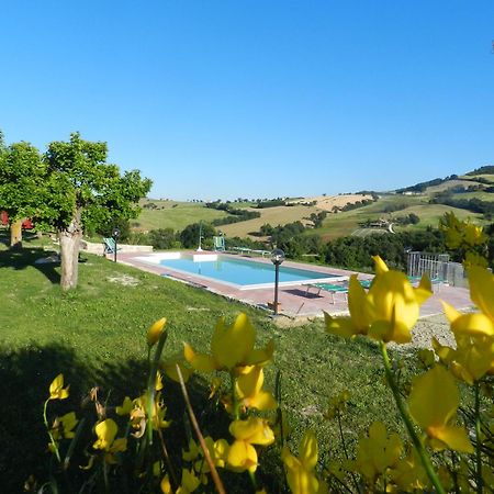 Agriturismo Dai Mori Isola del Piano Экстерьер фото